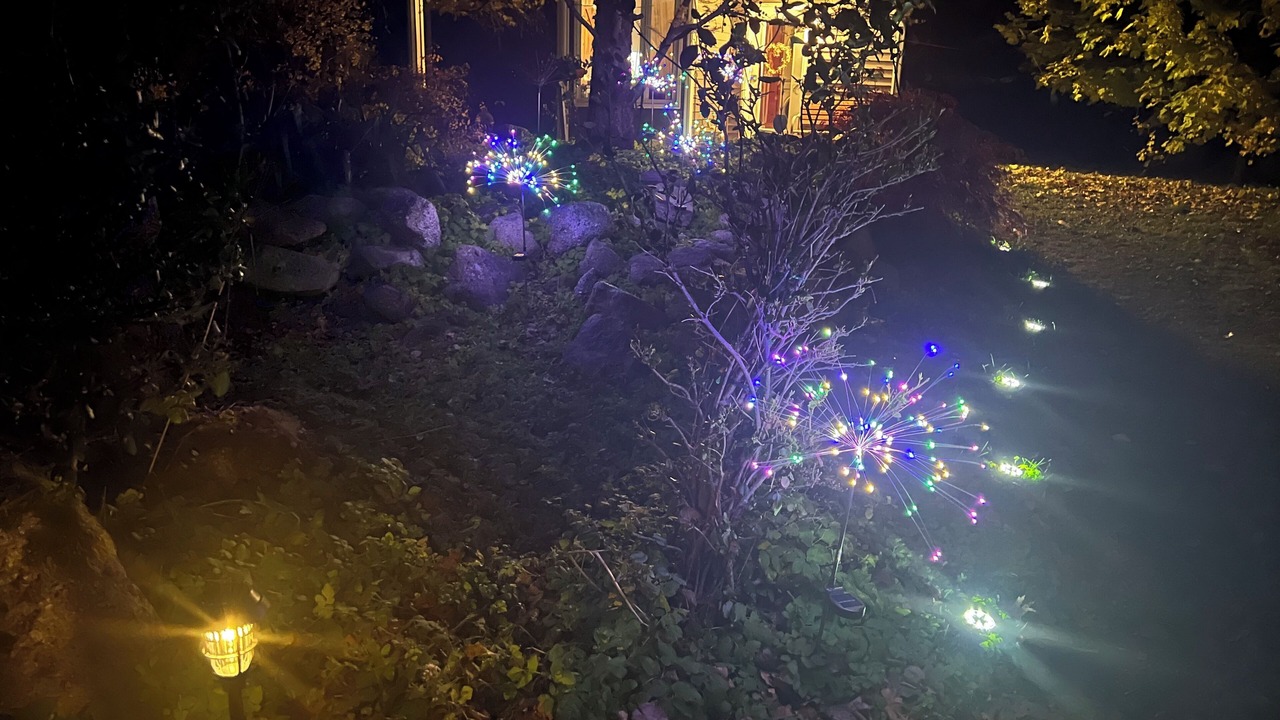 Photo of Outdoor in Todds Island