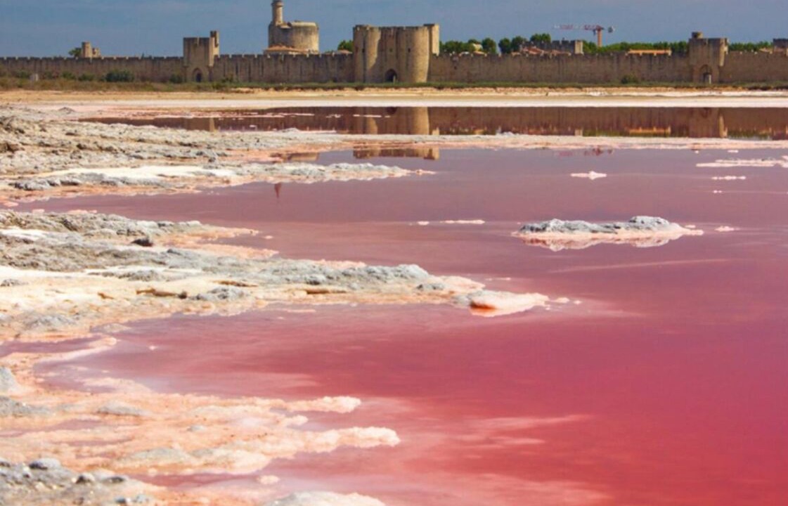 Photo of Others in Aigues-Mortes