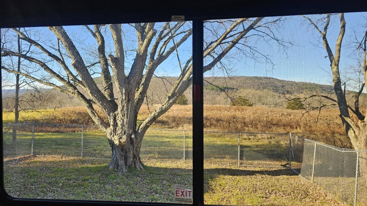 Photo of Others in Schoharie
