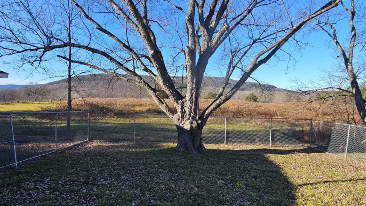 Photo of Outdoor in Schoharie
