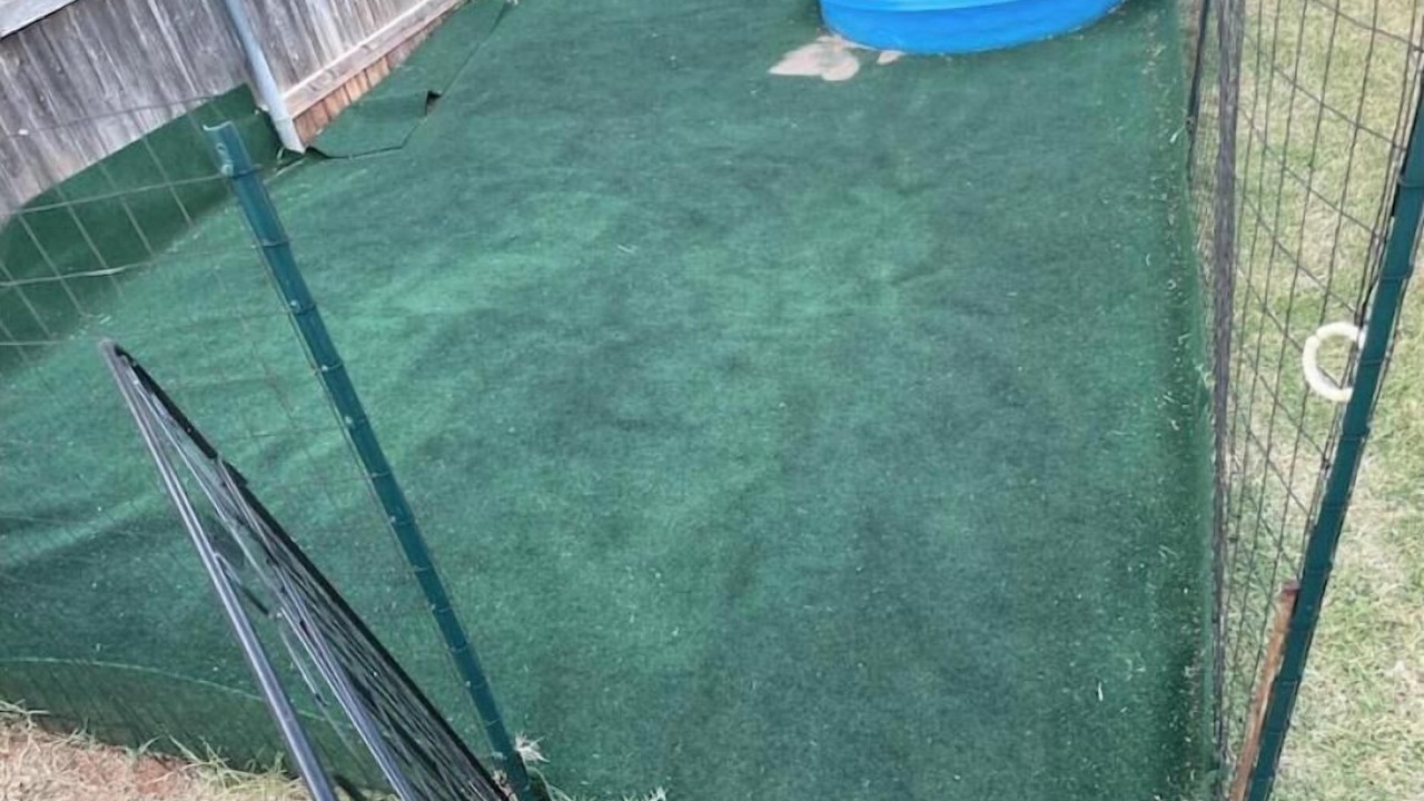 Photo of Outdoor in Yukon
