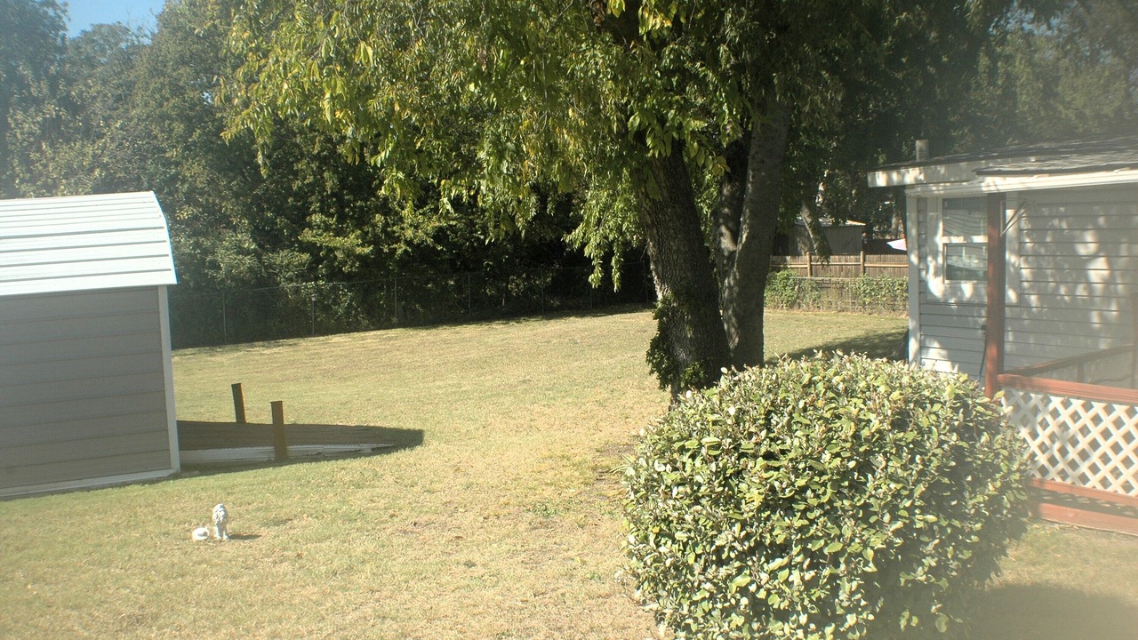 Photo of Others in Sherman