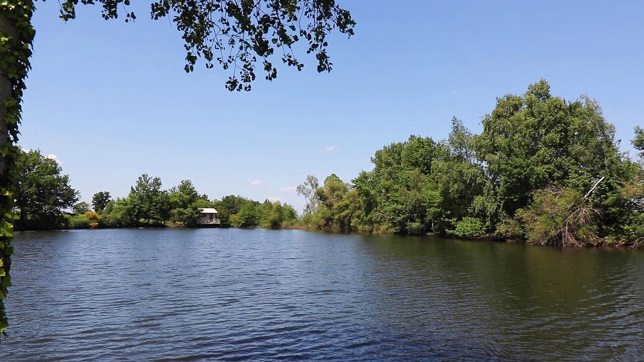 Photo of Others in Champsac