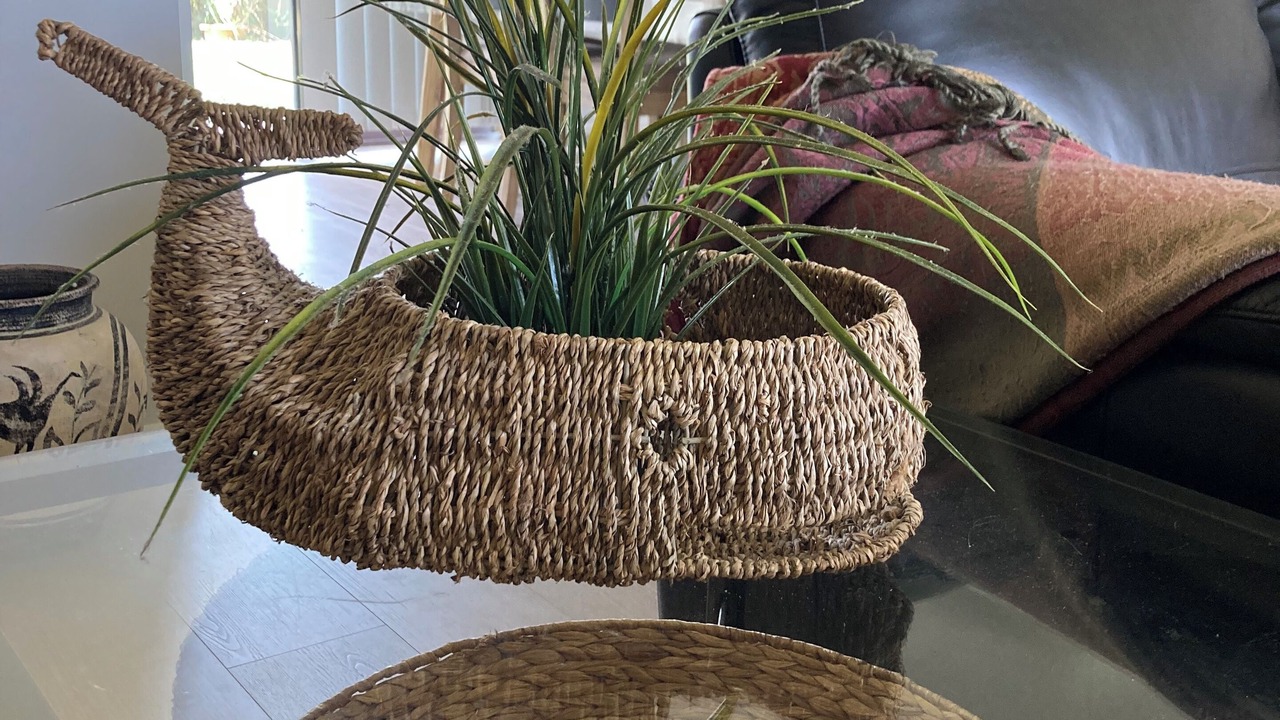 Photo of Others in Goolwa