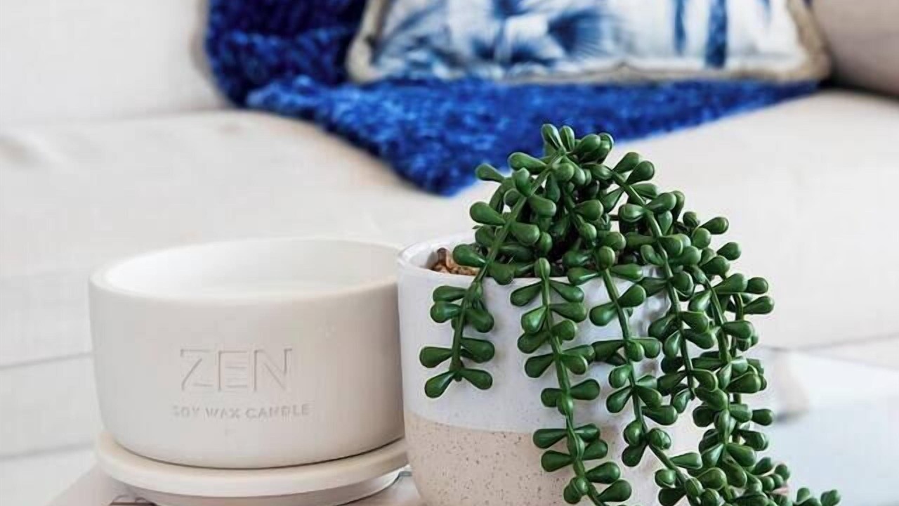 Photo of Others in Narrabeen