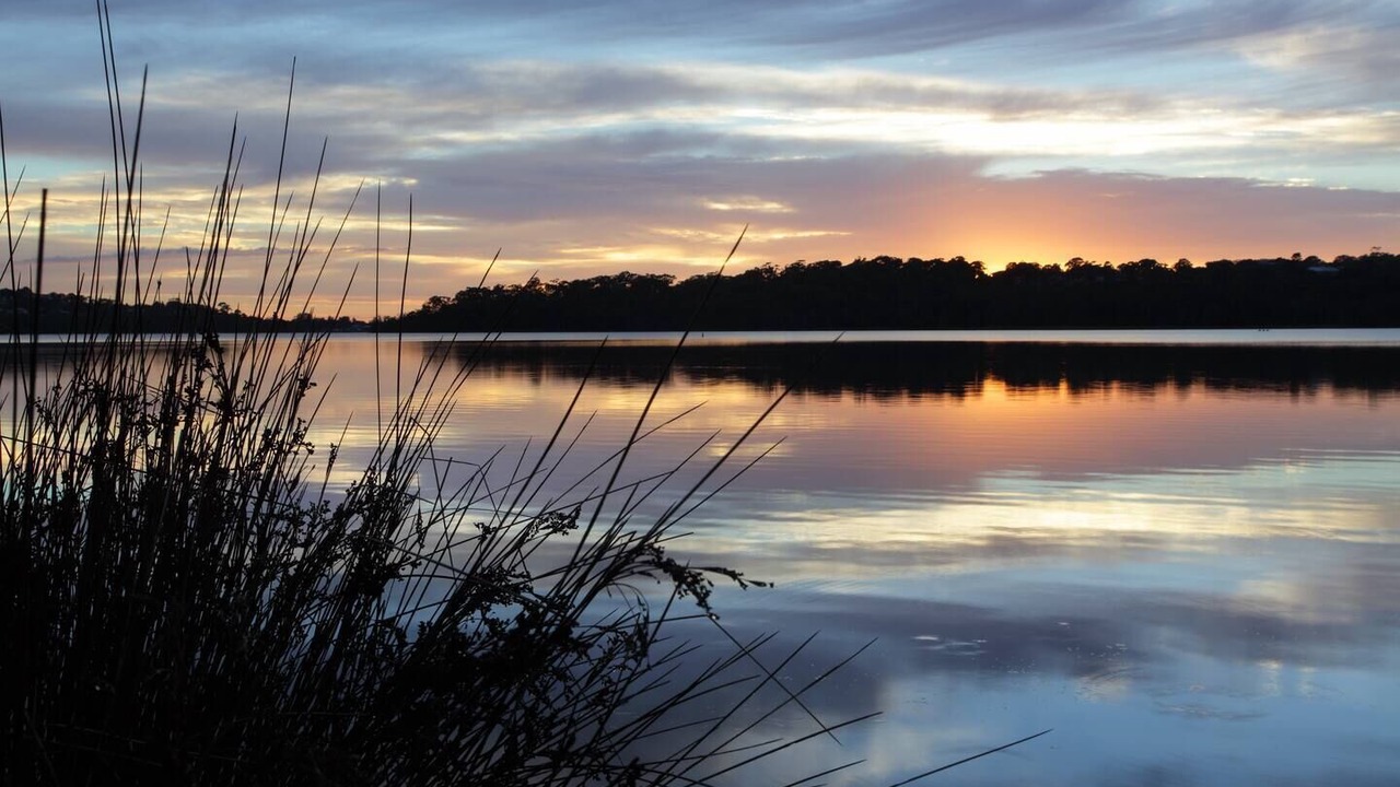 Photo of Others in Narrabeen