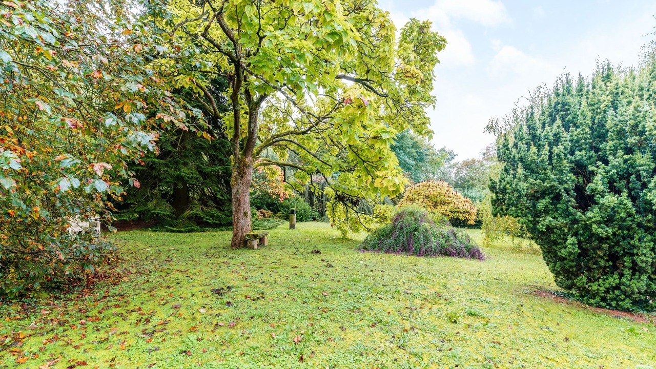 Photo of Outdoor in Metz