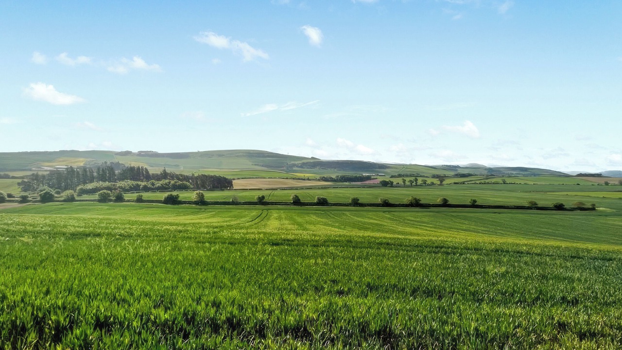 Photo of Others in Cornhill on Tweed