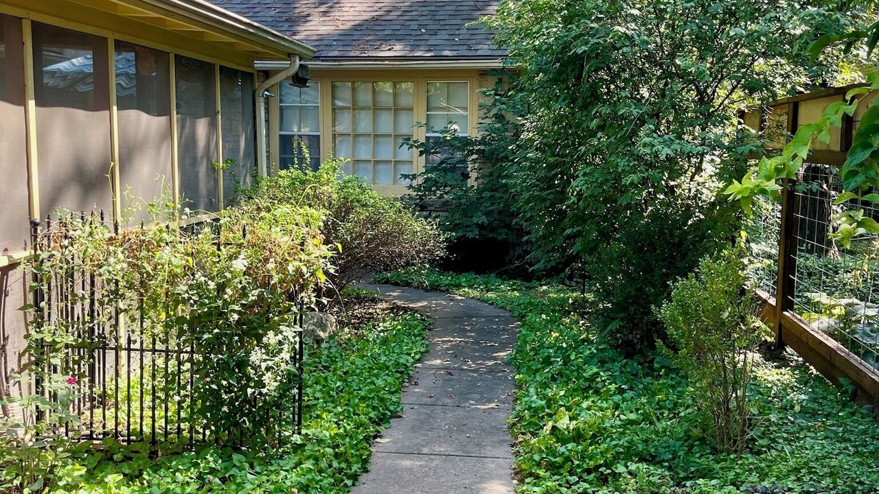 Photo of Outdoor in Winfield