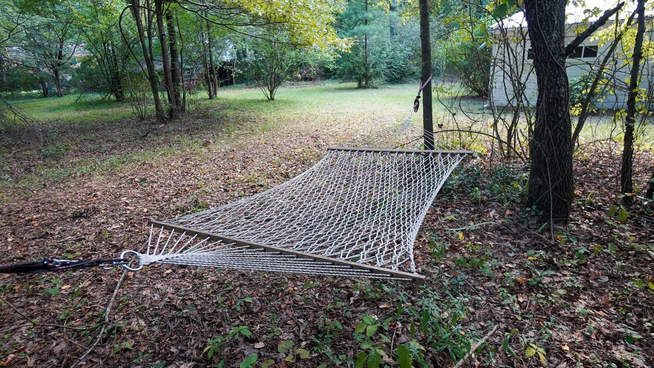 Photo of Others in New Castle