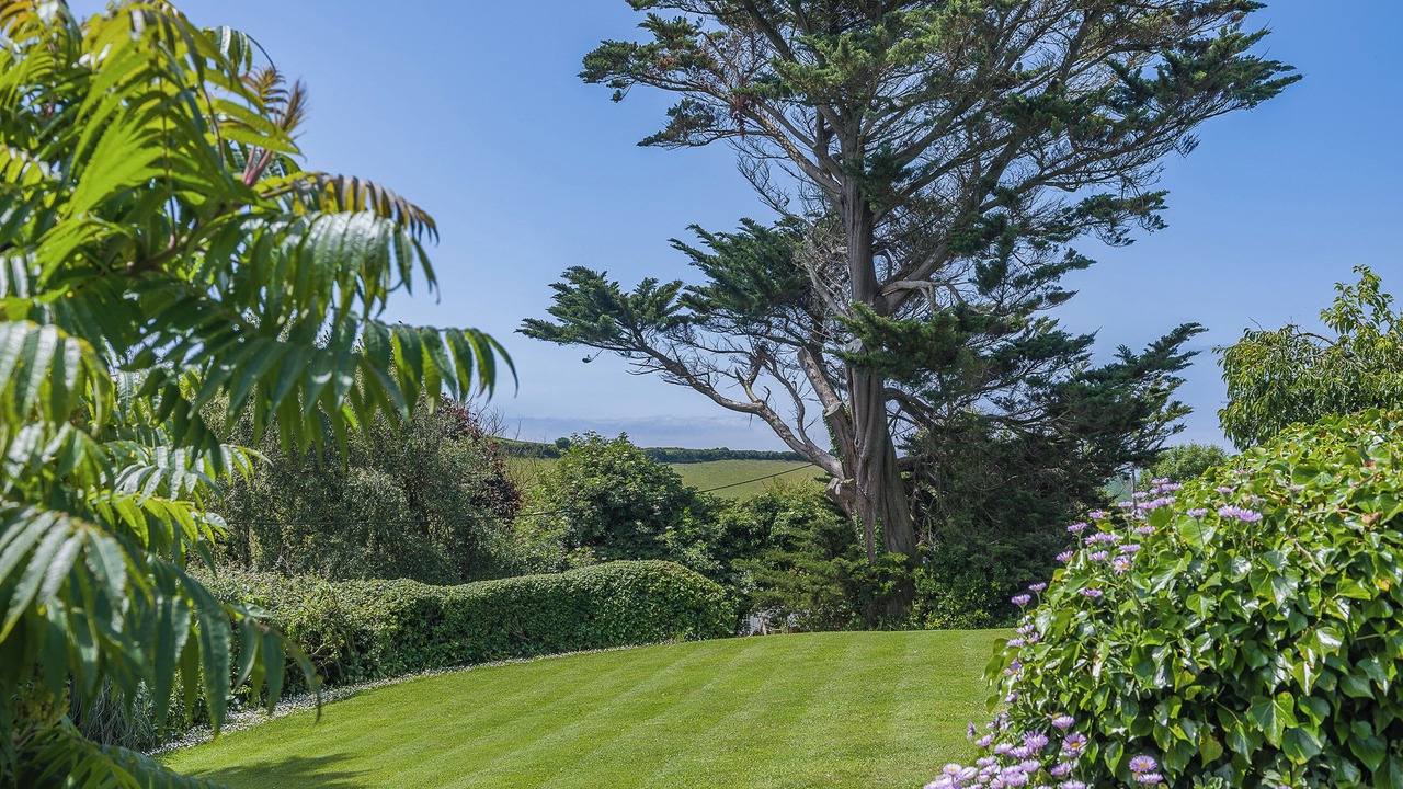 Photo of Outdoor in Hope-Cove