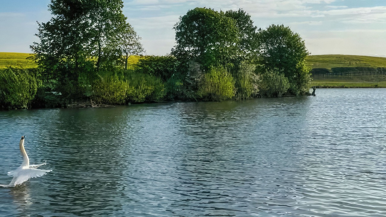 Photo of Others in Cornhill on Tweed