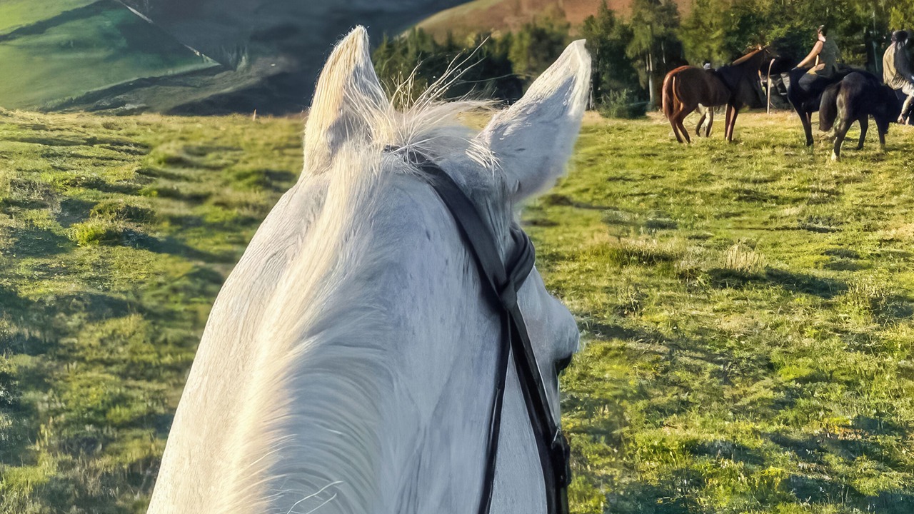 Photo of Others in Cornhill on Tweed