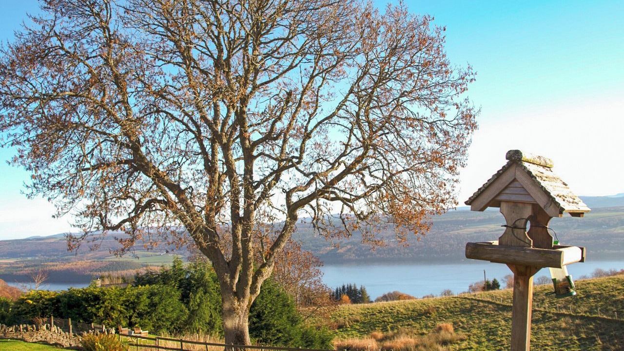 Photo of Others in Scaniport