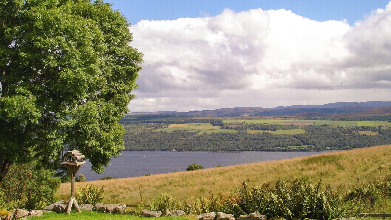 Photo of Others in Scaniport