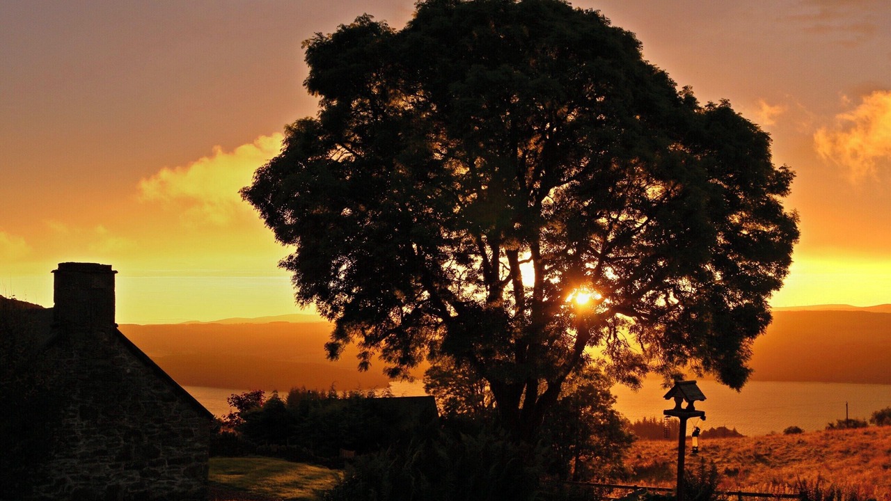 Photo of Others in Scaniport