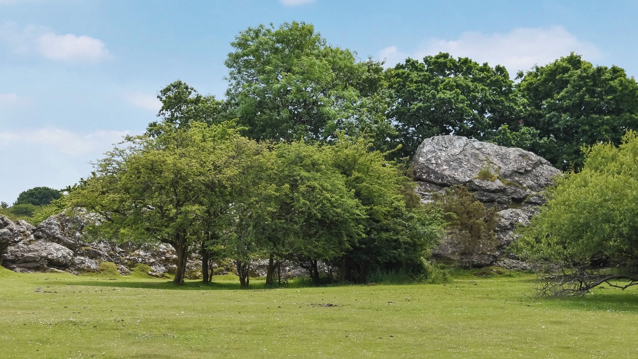 Photo of Others in Grenofen