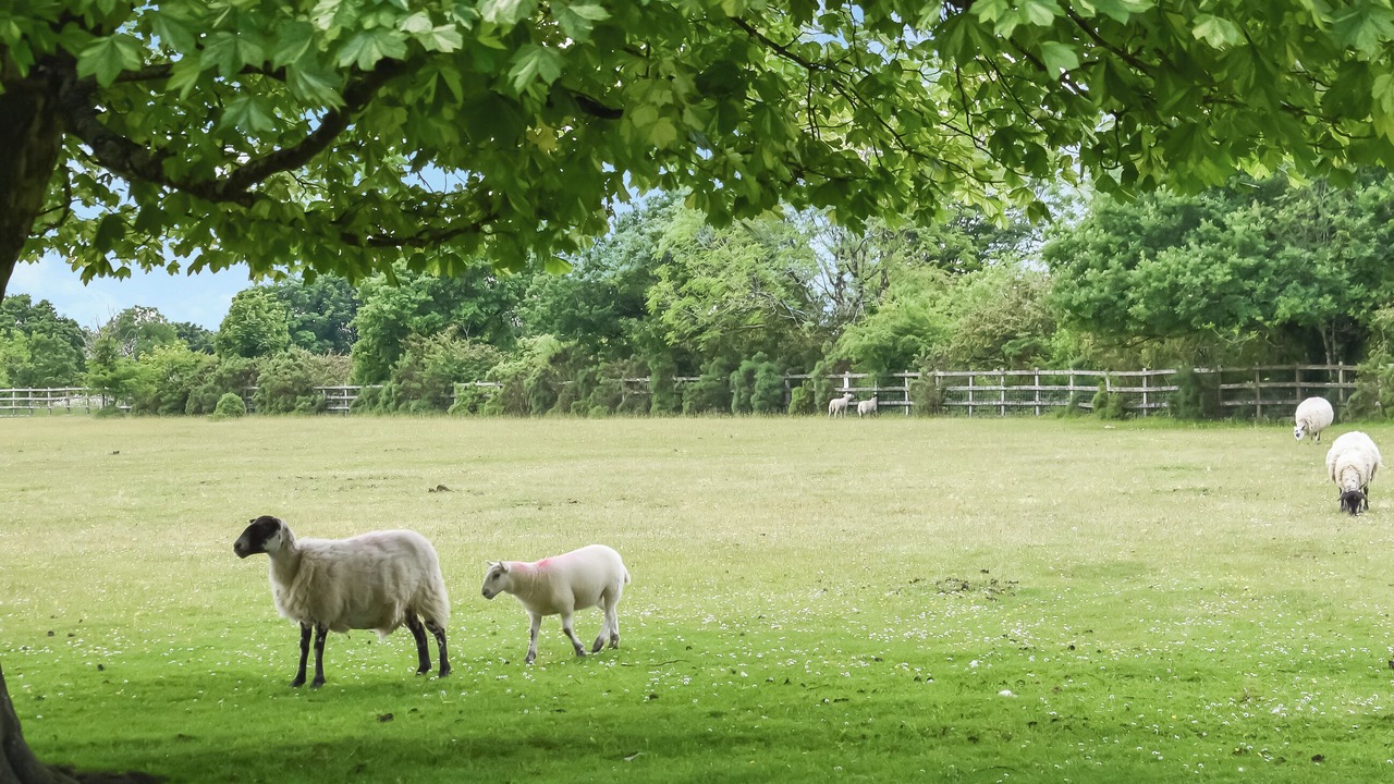 Photo of Others in Grenofen