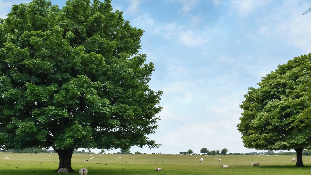 Photo of Others in Grenofen