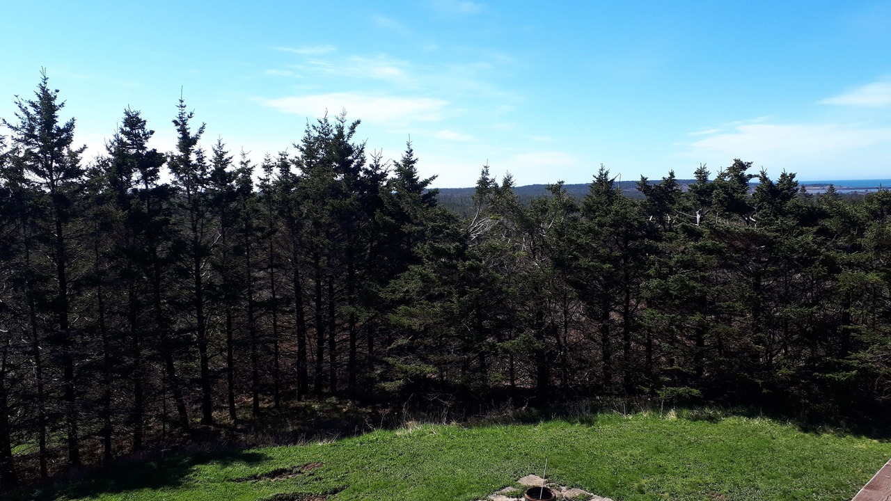 Photo of Outdoor in Freeport