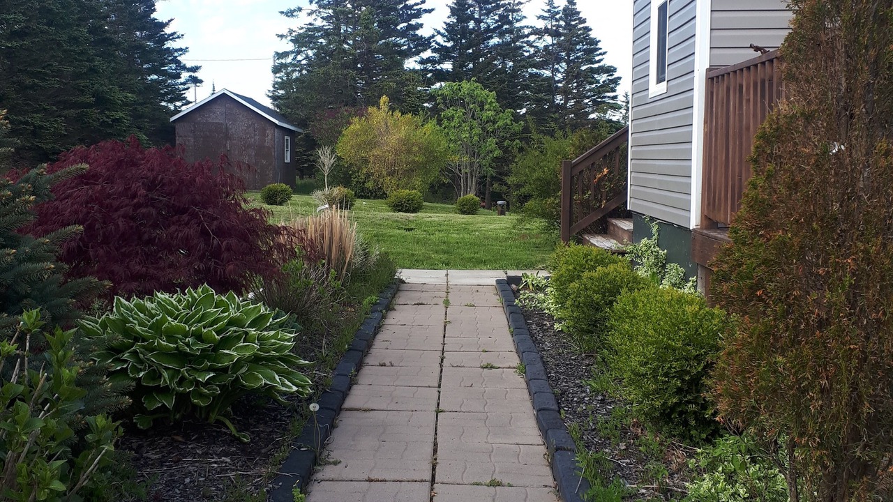Photo of Outdoor in Freeport
