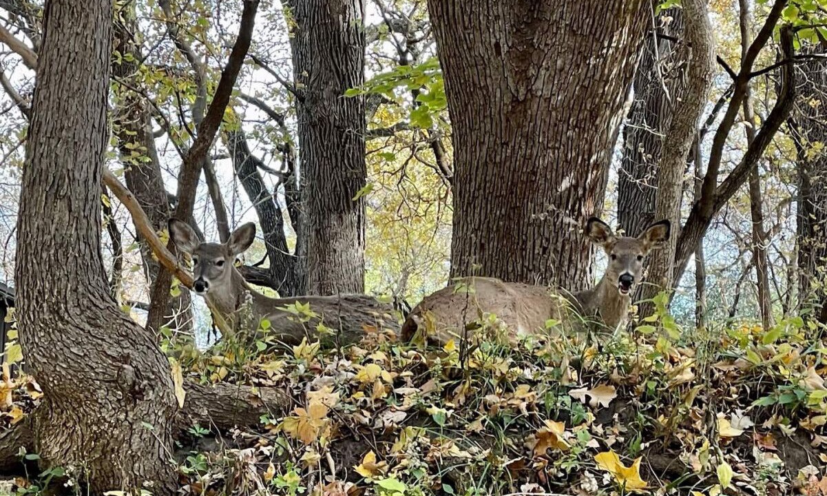 Photo of Others in Okoboji