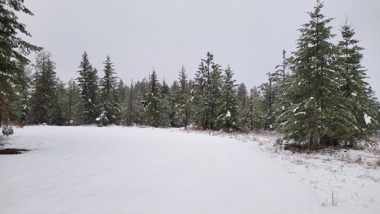 Photo of Others in Harvard