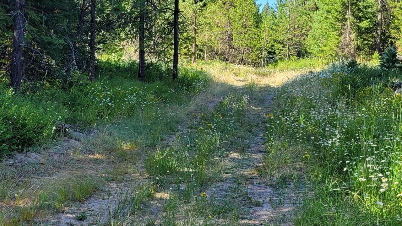 Photo of Others in Harvard