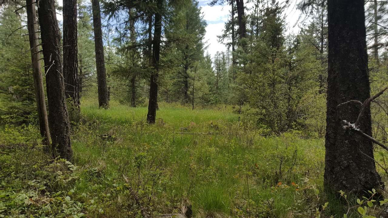 Photo of Others in Harvard