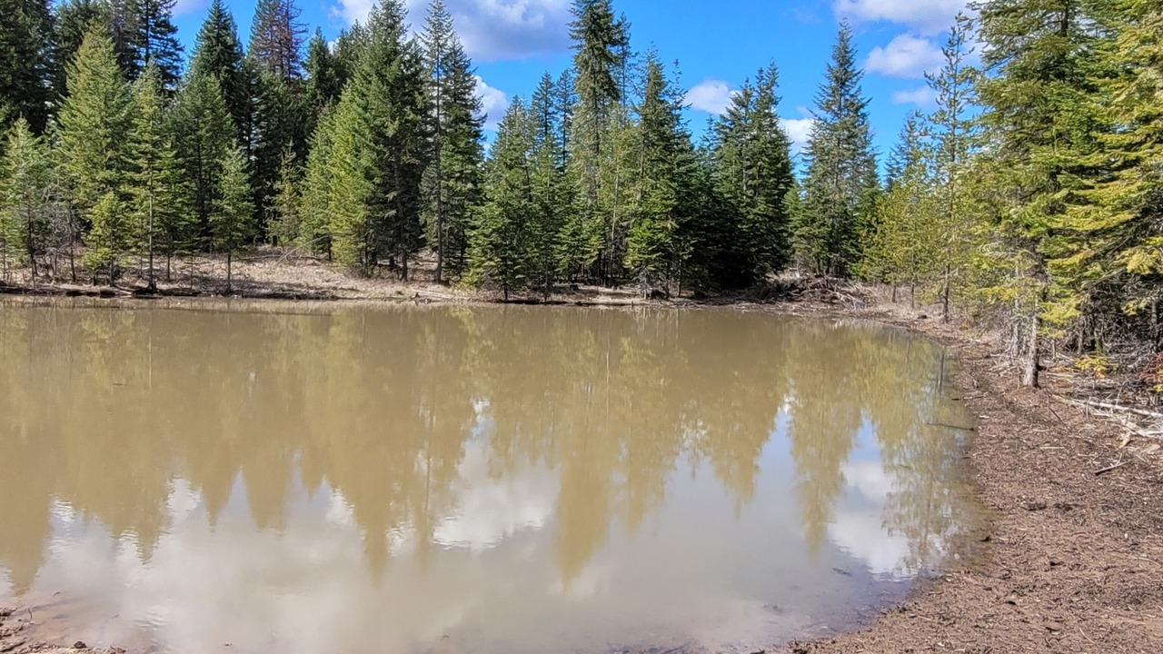 Photo of Others in Harvard