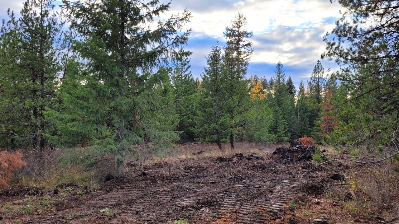 Photo of Others in Harvard