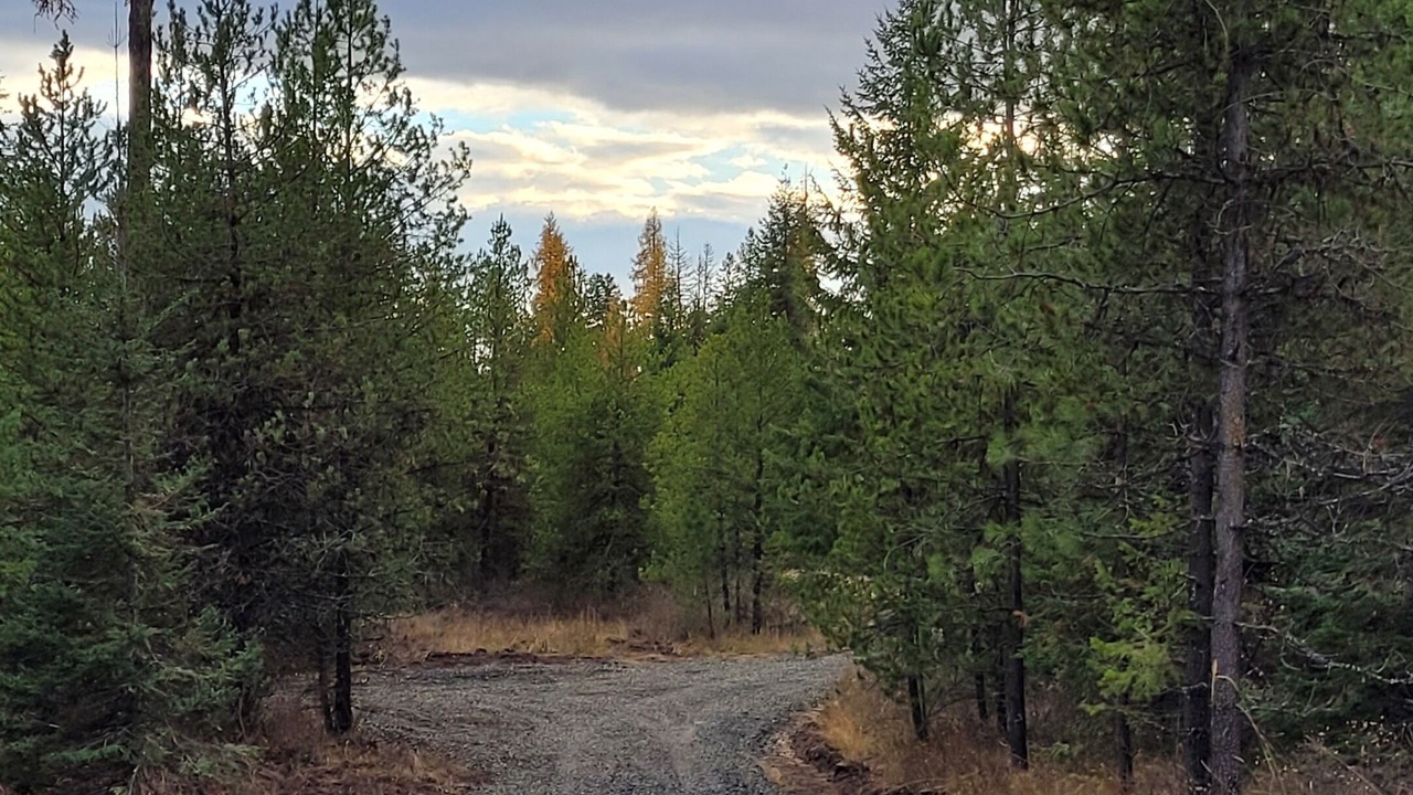 Photo of Others in Harvard