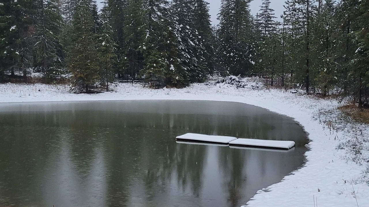 Photo of Others in Harvard