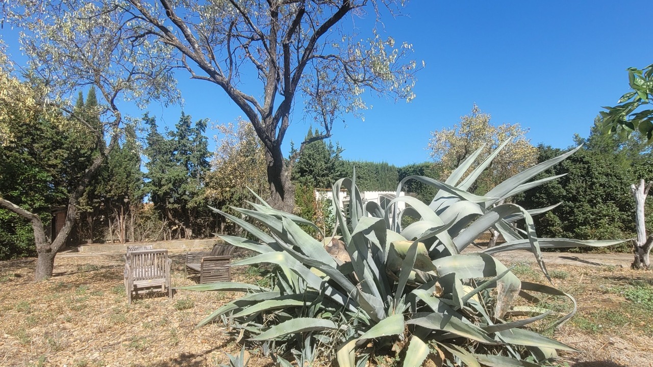 Photo of Outdoor in Salleles-d'Aude