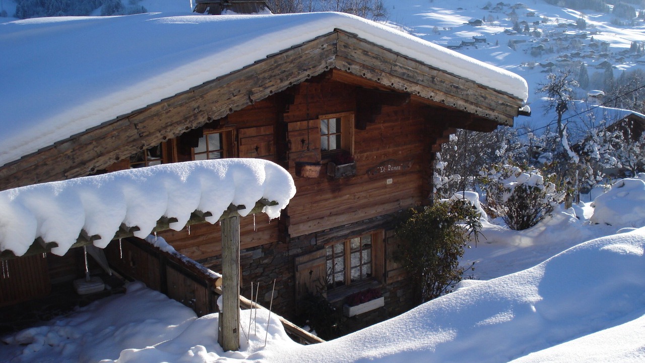 Photo of Outdoor in Praz-sur-Arly