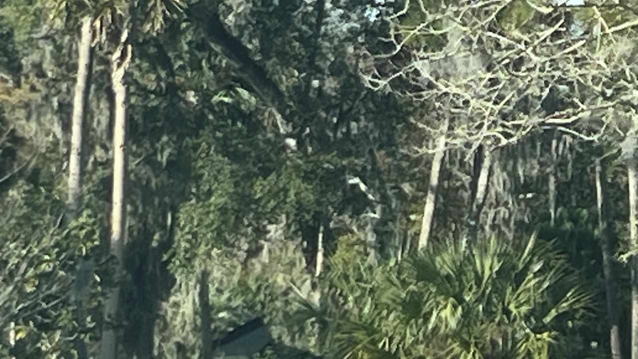 Photo of Others in Palm Valley