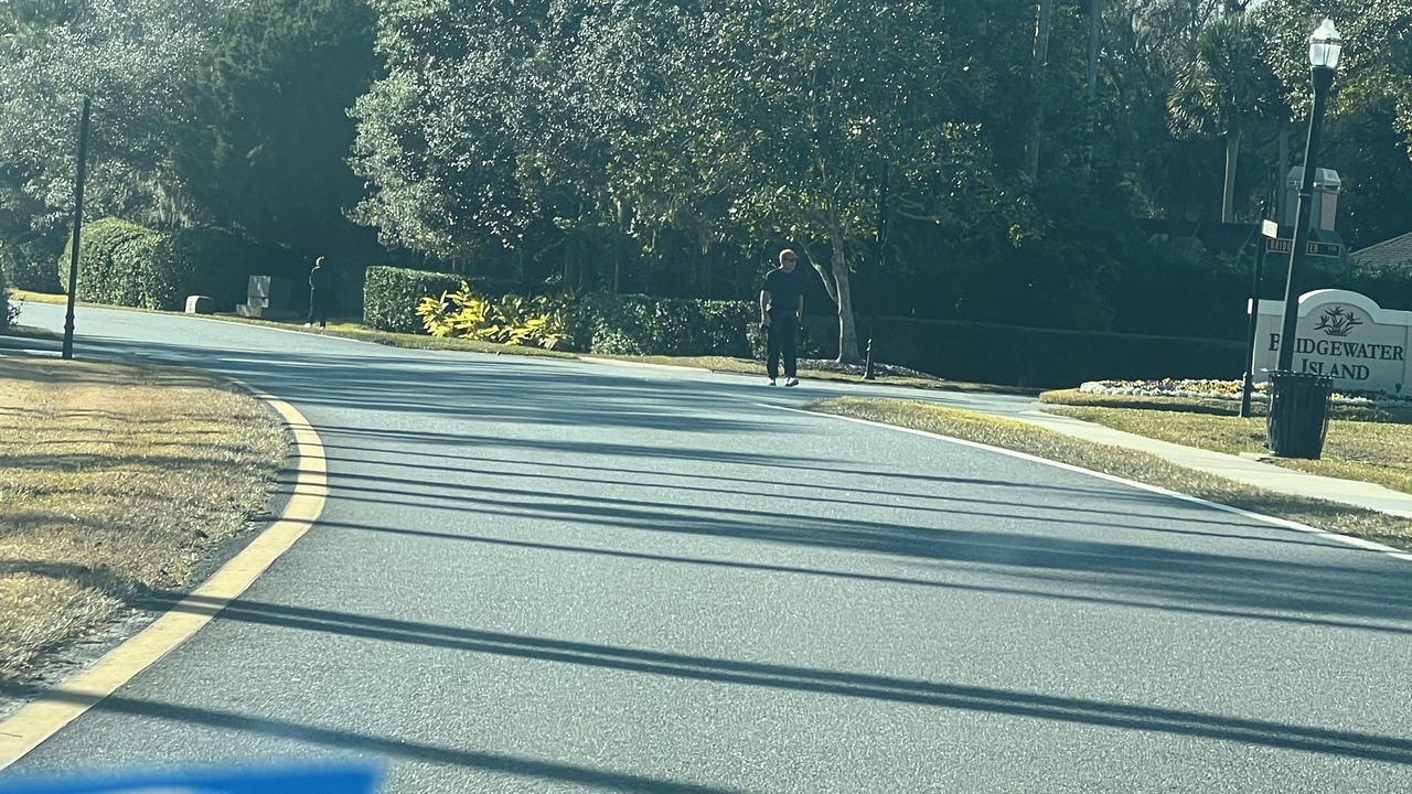 Photo of Others in Palm Valley