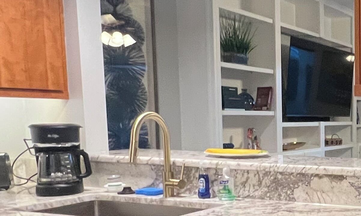 Photo of Others in Palm Valley