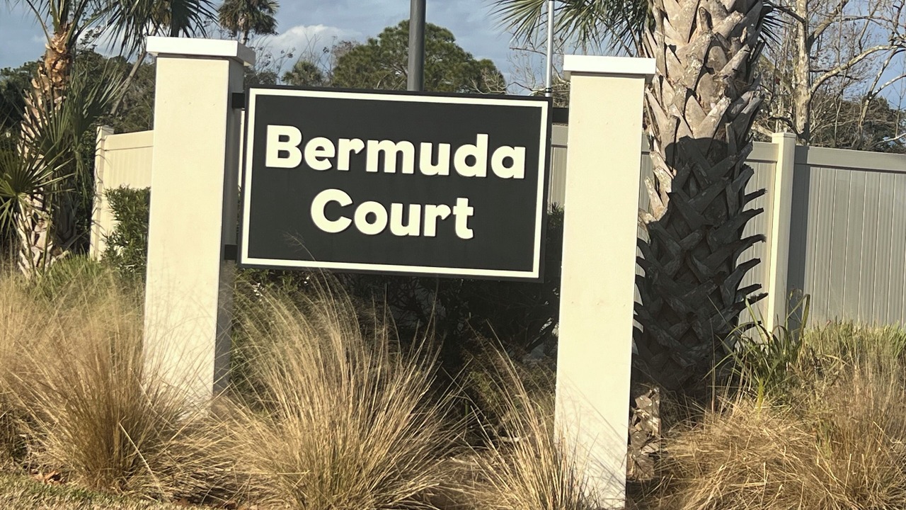 Photo of Others in Palm Valley