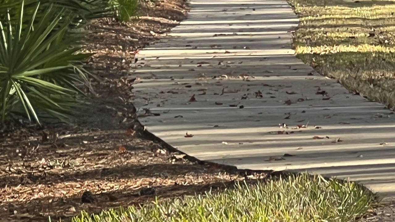 Photo of Others in Palm Valley