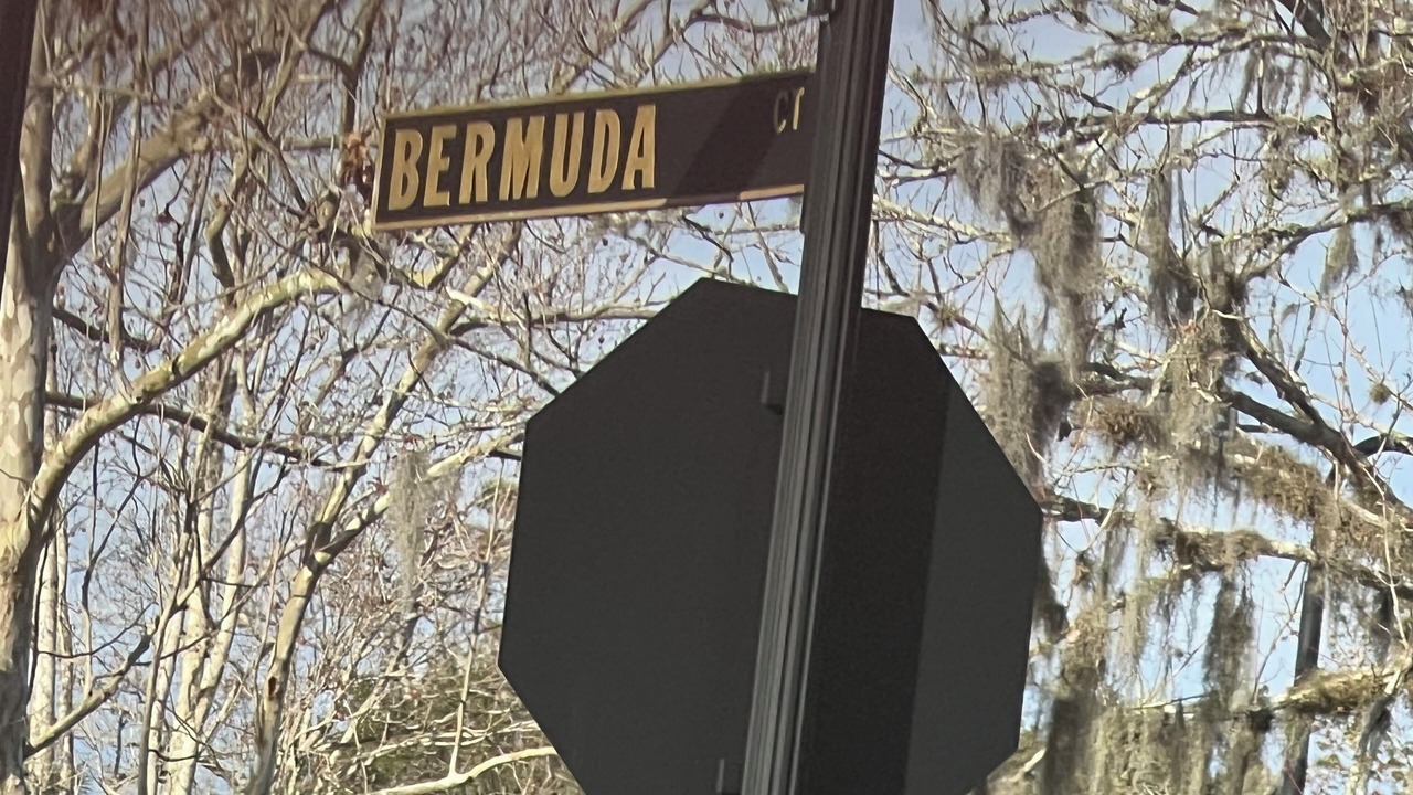 Photo of Others in Palm Valley