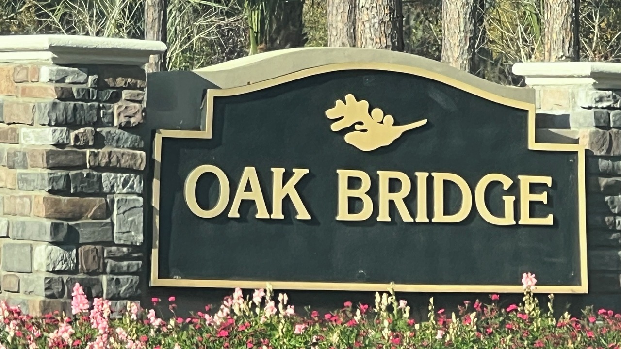 Photo of Others in Palm Valley