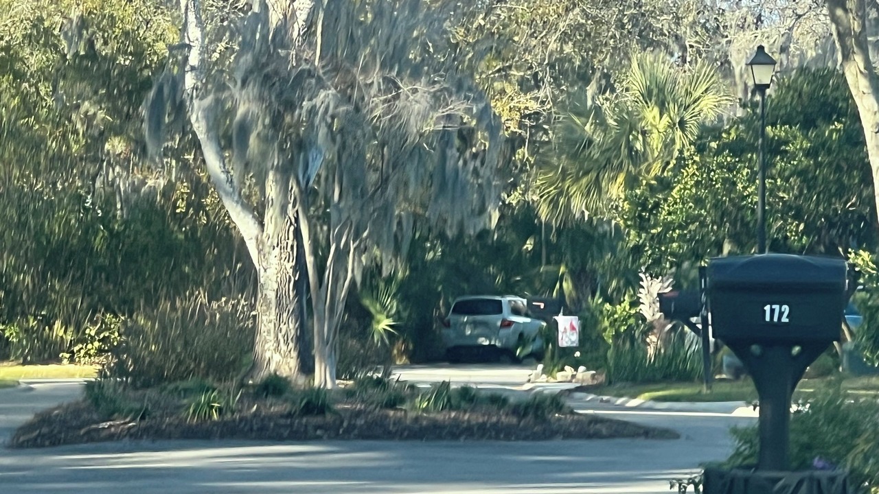 Photo of Outdoor in Palm Valley
