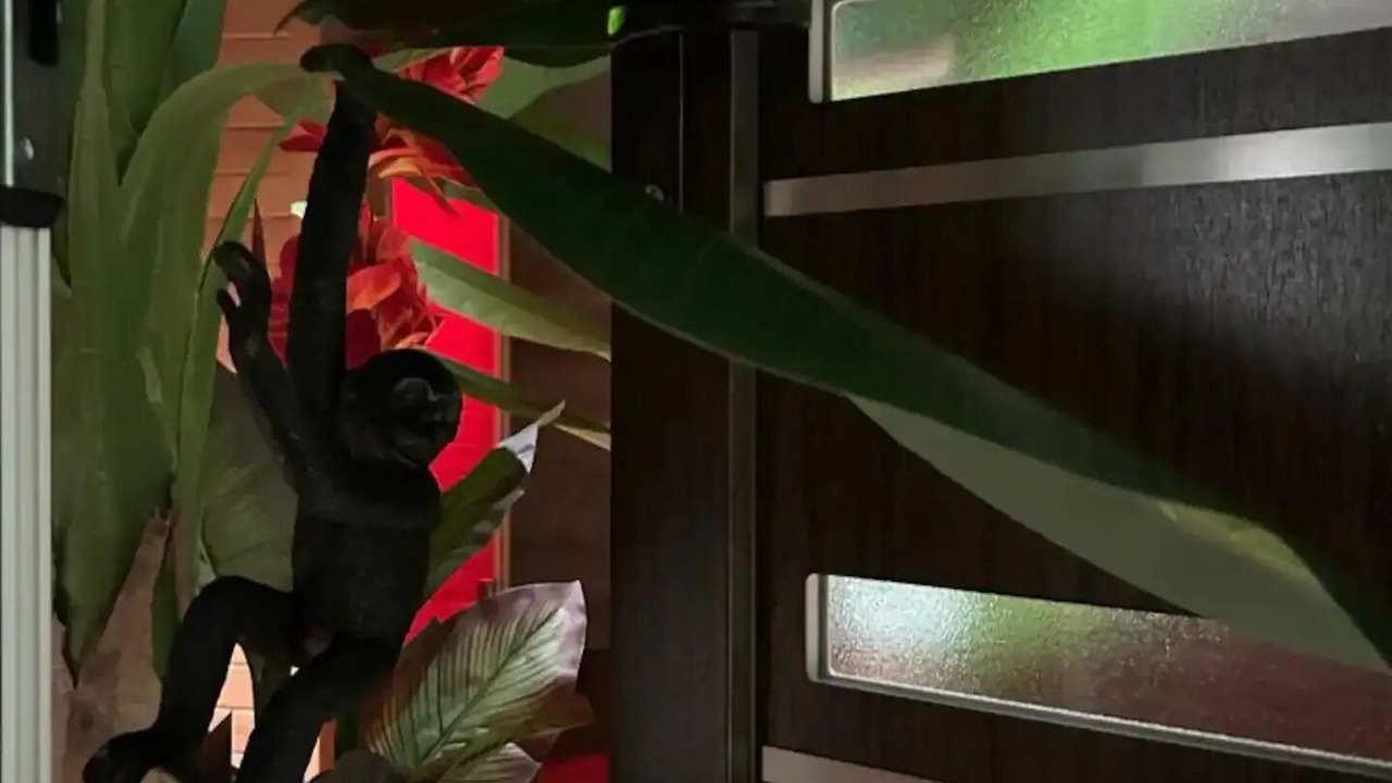 Photo of Others in Altkirch