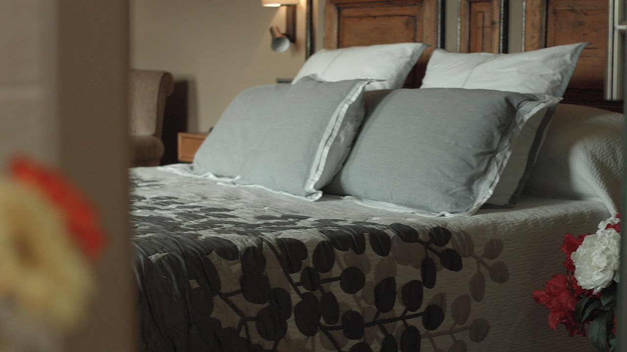 Photo of Bedroom in Sant Feliu de Pallerols
