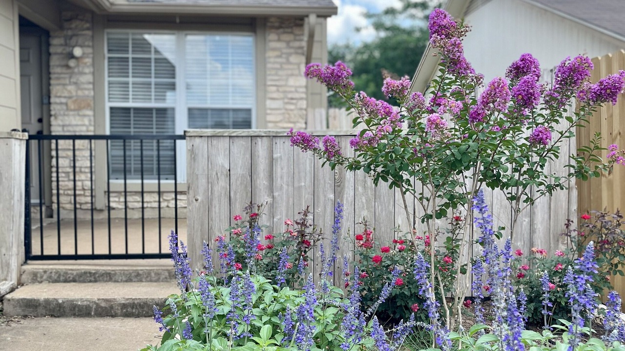 Photo of Outdoor in Brushy Creek