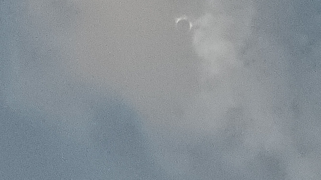 Photo of Others in McNeil