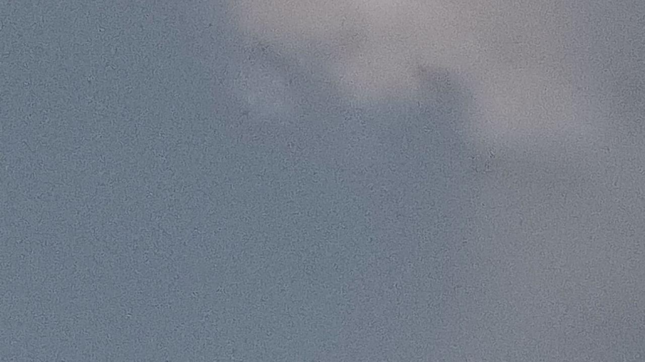 Photo of Others in McNeil