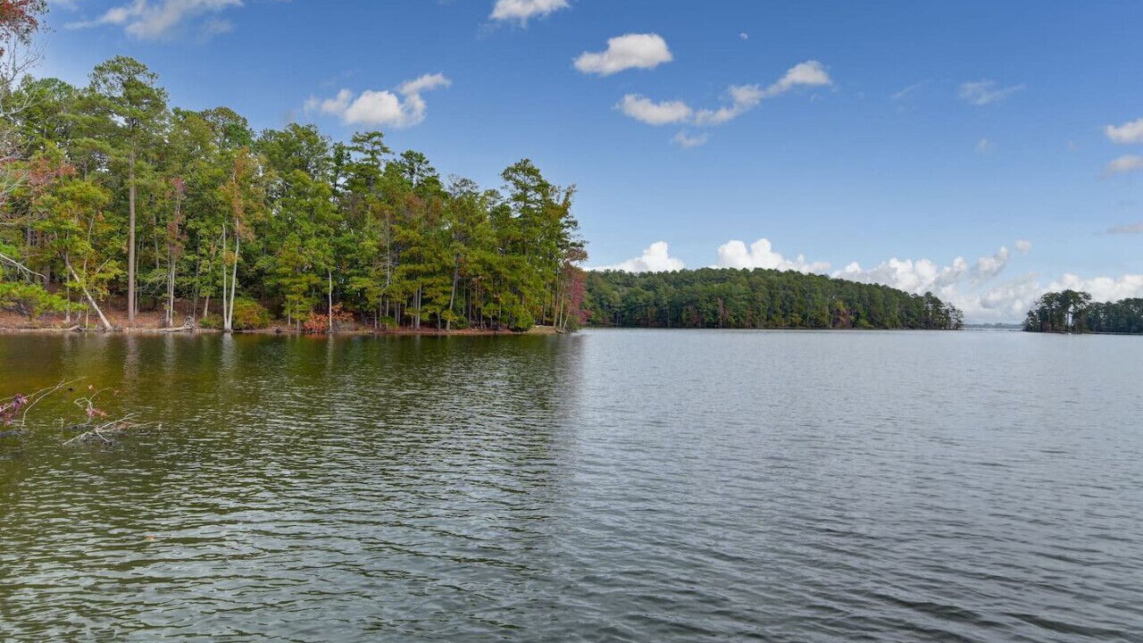 Photo of Others in Leesville