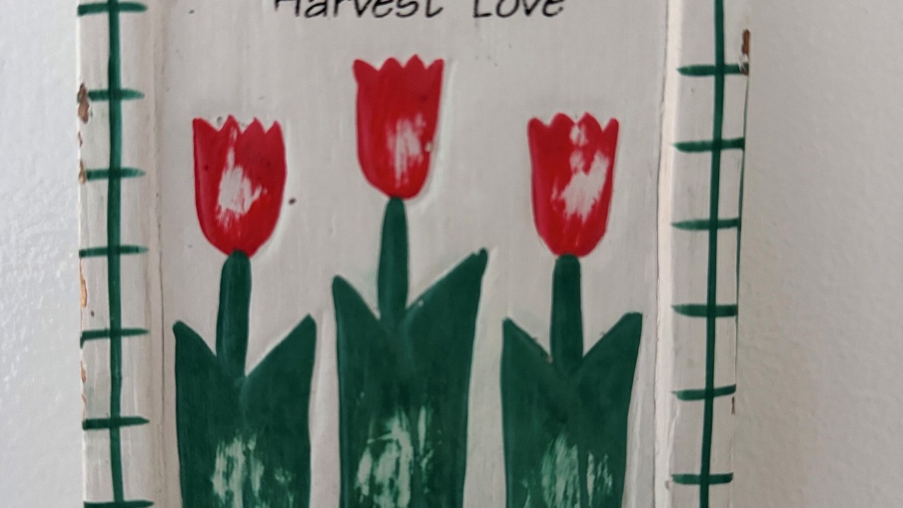 Photo of Others in Homerton